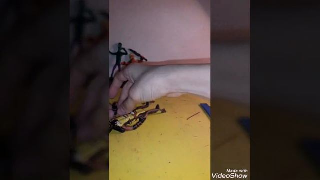 Скорпион из пластилина смотреть онлайн