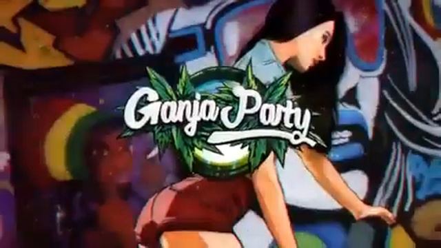 Vigu Vigu Vigu Remix (D Remix )