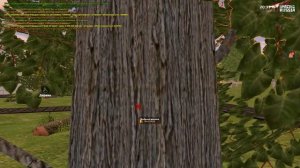 РАБОТАЮ 1 ЧАС ЛЕСОРУБОМ на АМАЗИНГ РП в GTA CRMP