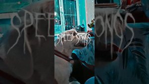 LUCAVEROS-детка ты словно ламбо speed up?
