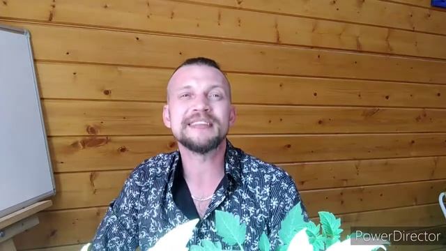 Интеллект Тренировка Super Jamp. Как стать успешным? Взрослая педагогика! Наша планета--Земля!
