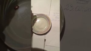 Красная ртуть