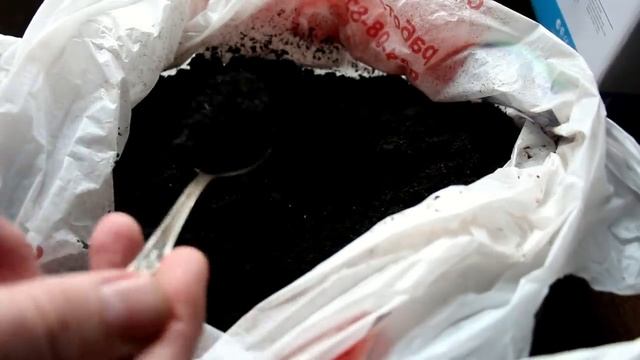 5 основных ошибок при выращивании рассады томатов смотреть онлайн