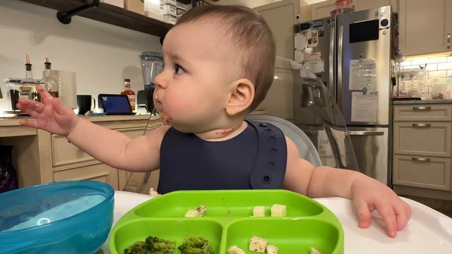 Maverick tries Mozzarella - Baby Led Weaning (9 months) смотреть онлайн