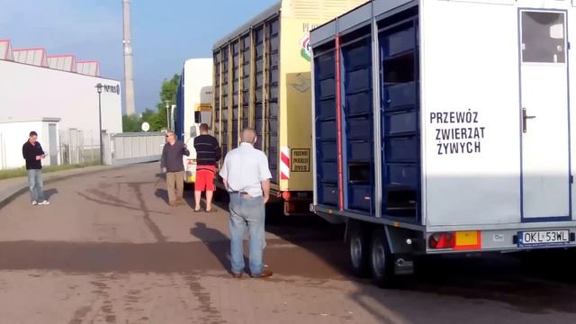 Start Gołębi oddziału Odolanów - Ludwigsfelde 2013-05-19 смотреть онлайн