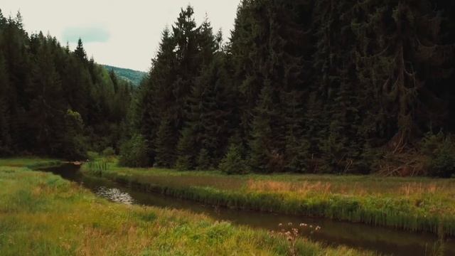 Relax music расслабляющая музыка для глубокого сна Красивая природа Успакаивающая музыка смотреть онлайн