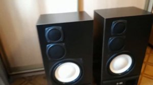 Акустика S90 после реставрации (S90)