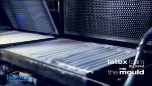 Сбор каучука и производство натурального латекса для матрасов