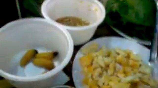 ВЕТНАМ ЗАЛУУС ӨТ ИДЭЖ БАЙГАА НЬ смотреть онлайн