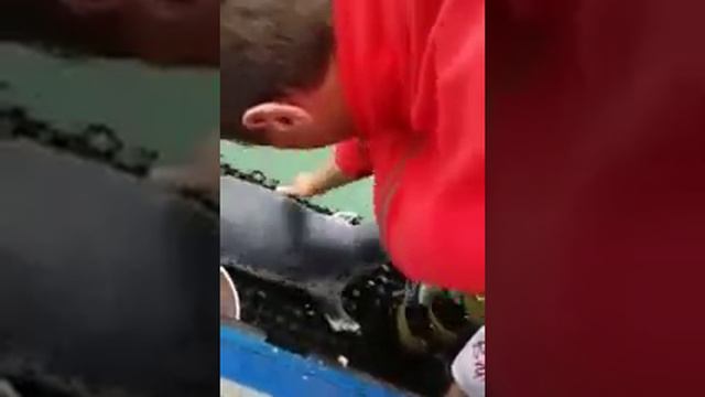 ЧУДО В ОКЕАНЕ 🐬 смотреть онлайн