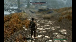 Skyrim Прикол 12