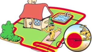 Electric Dog Fence Review