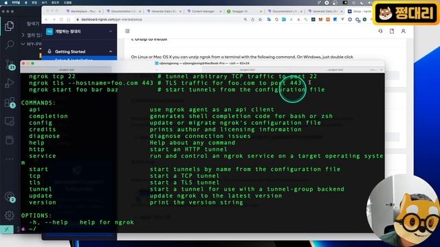 Strapi Headless CMS - ngrok 로컬 ? 온라인 개발환경 설정 (make your local server online) смотреть онлайн
