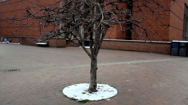 Кыргыз в University of Washington