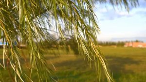 БАРДИНЕР@ ХШШАЦИН АРМЯНСКАЯ ЛИРИКА