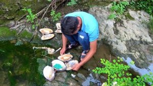 Shining moment: unexpected harvest of stunning pearls in ordinary river water