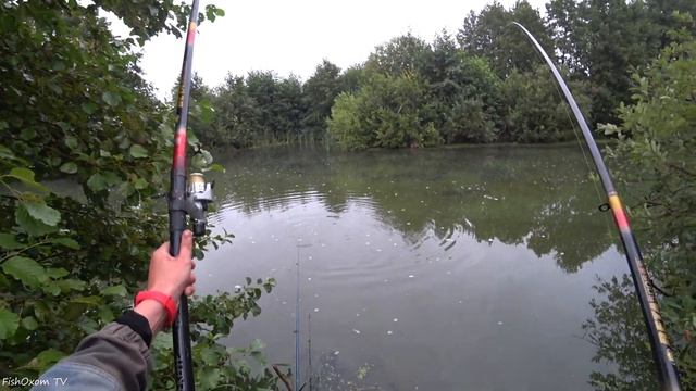 ЧУТЬ НЕ УТАЩИЛ УДОЧКУ! Ловля карпа поплавочной удочкой на кукурузу смотреть онлайн