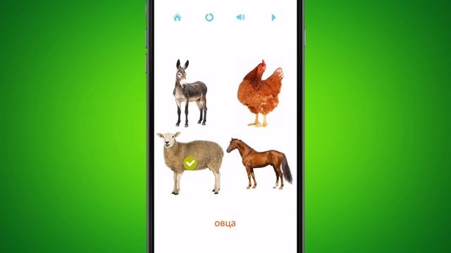 Развивающие карточки - полезное детское приложение!
