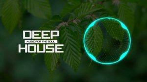 Sharapov - Just Me Reason (Papa Tin Remix)