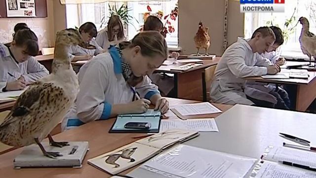 Костромская сельхозакадемия успешно прошла государственную аккредитацию