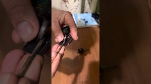 Как заменить батарейку в ключе Audi A4 В6. #ремонтавто #ремонтсвоимируками #automobile #audia4b6