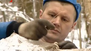 Как выжить космонавту в лесу