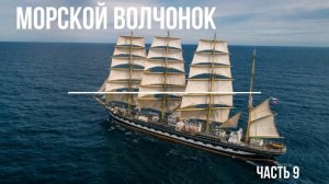 Морской Волчонок аудиокнига Томас Майн Рид часть 9 Заключение