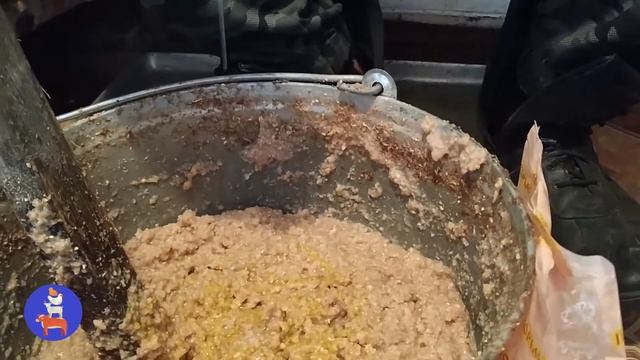 ЧЕМ И КАК КОРМИТЬ КУР ДЛЯ ПОВЫШЕНИЯ ЯЙЦЕНОСКОСТИ //ГОТОВИМ ИНКУБАЦИОННОЕ ЯЙЦО