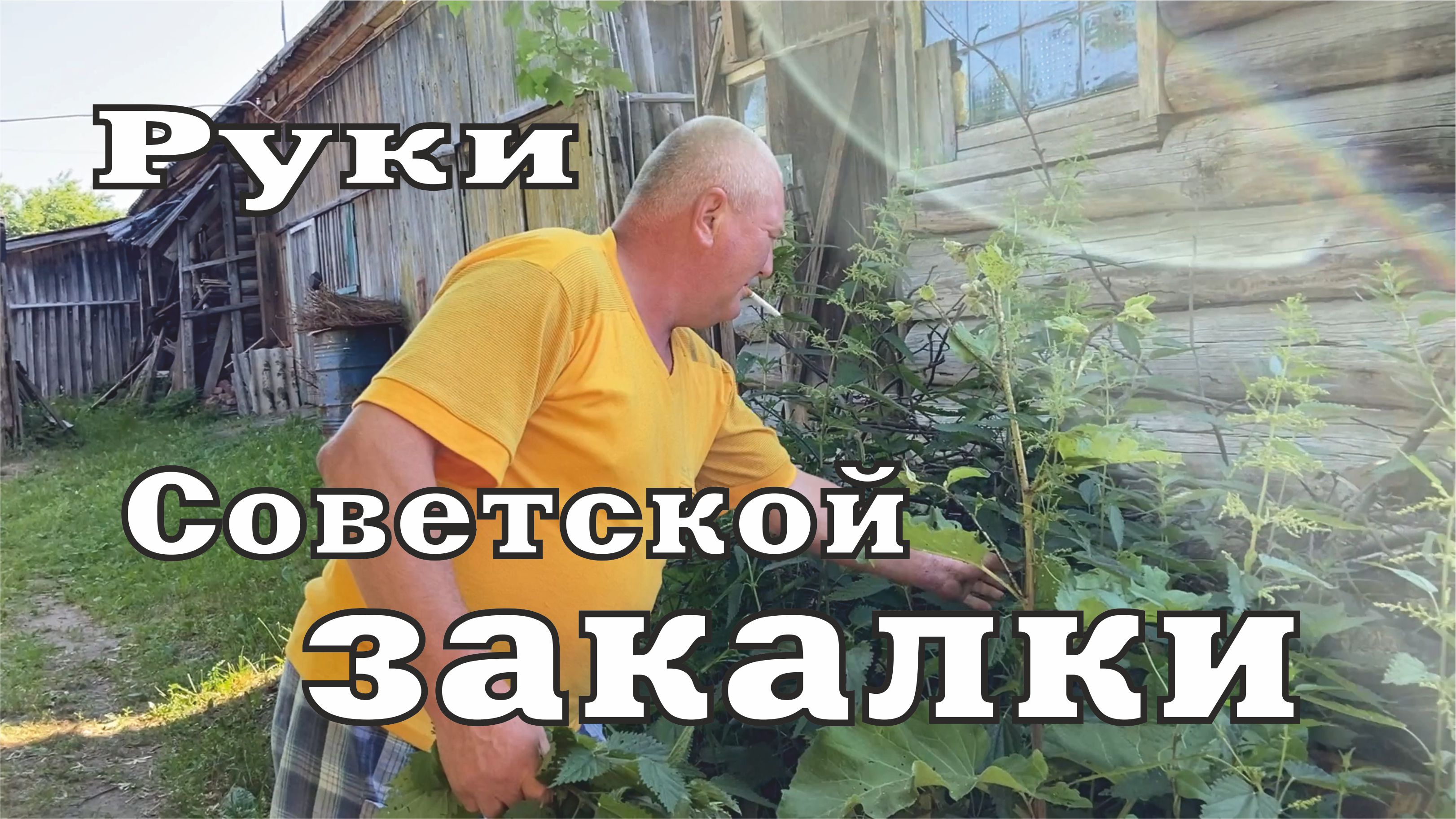 Ищите чем ПОДКОРМИТЬ РАССАДУ В ТЕПЛИЦЕ ВАМ СЮДА смотреть онлайн