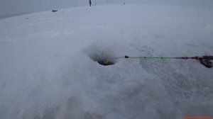 Снасти на берша