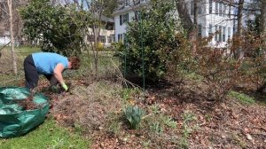 Front Corner Garden - ????