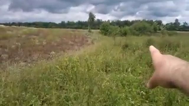 Исток Волги - величайшей европейской реки - исток реки Очка - 3 ч. из 11 смотреть онлайн