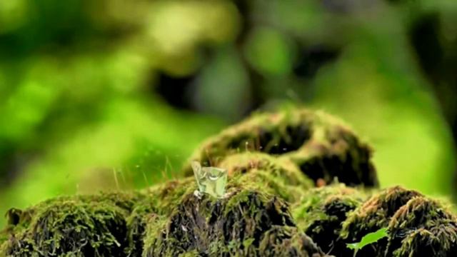 Перекрёсток