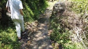 Индия. Гималаи. Горной тропкой идём в раскалённый храм. Стоимость еды и жилья в Гималаях.