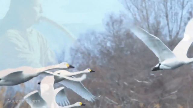 Simon and Garfunkel - El Condor Pasa (перевод субтитры) смотреть онлайн