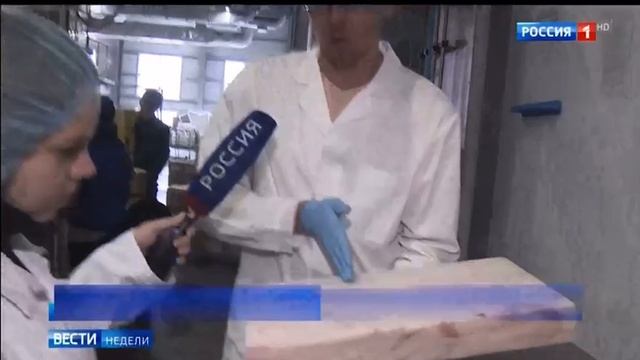 Новые Курилы - сюжет "Вестей" о развитии промысла и переработки рыбной продукции на острове Шикотан