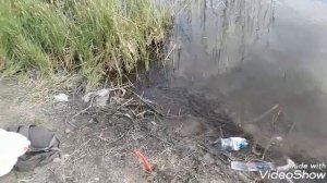Рибалка на ЩУКУ і ОКУНЯ...