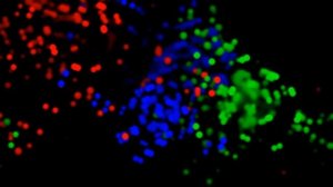 Dry My Tears
(Альбом "Iris", 2010)