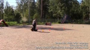 Испытание по ОКД