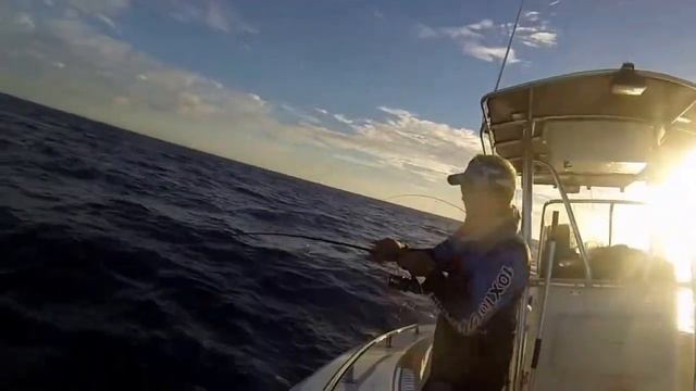 samaki sambo смотреть онлайн