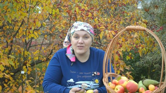 Обзор сортов саженцев плодовых деревьев для Сибири
