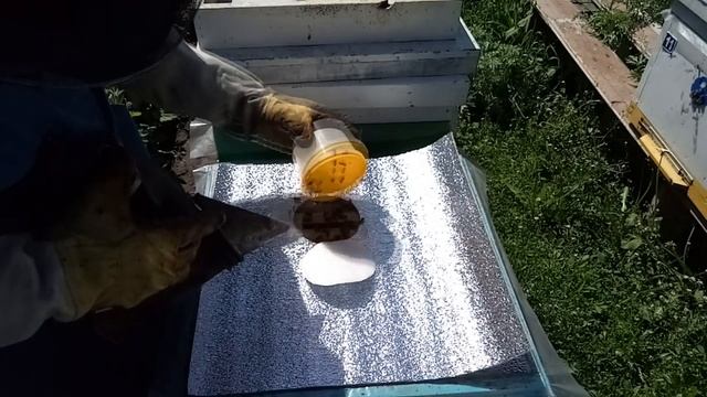 От пчелопакета до семьи. Часть 2. смотреть онлайн