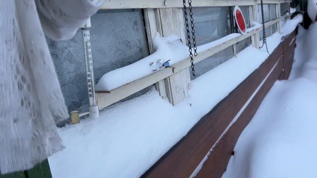 У природы нет плохой погоды😂☃️😍. Температура в теплице зимой❄️🌡️❄️ смотреть онлайн