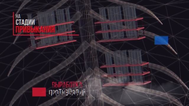 Действие алкоголя на организм проявляется следующим образом 33