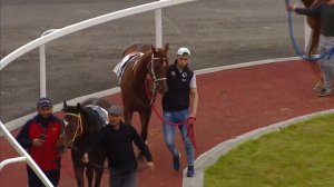 Прямая трансляция Грозненский ипподром им. С-Х Закаева