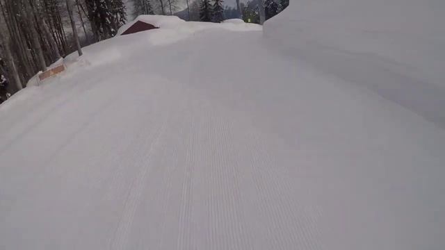 Роза Пик Тундра-Дриада смотреть онлайн