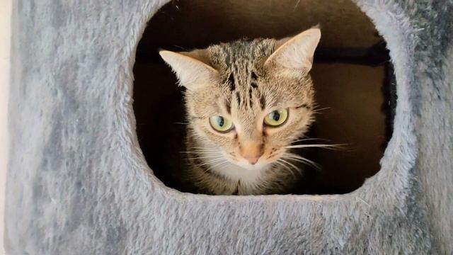 Укол утром! Как от этого избавиться? смотреть онлайн