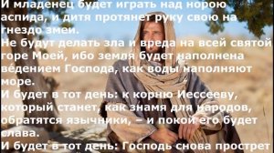Я так Тебя люблю. Христианские песни.