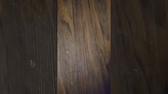 C80119 Sheiner's Floor Cleaner смотреть онлайн