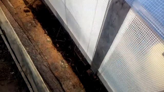 Самодельная теплица для Общины смотреть онлайн